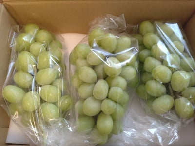 お礼の品の感想画像 1