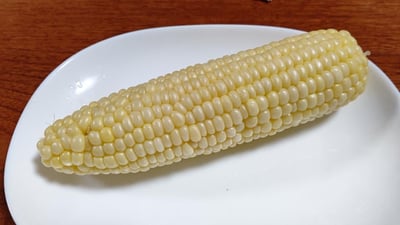 お礼の品の感想画像 2