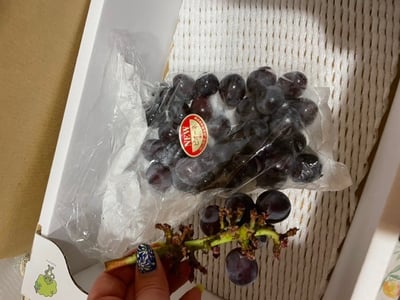 お礼の品の感想画像 1