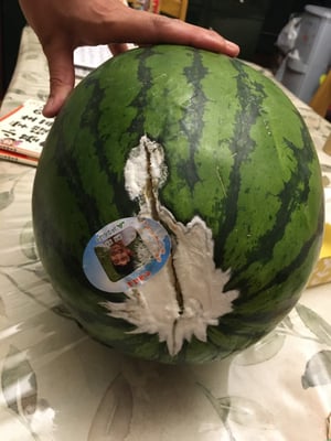 お礼の品の感想画像 1