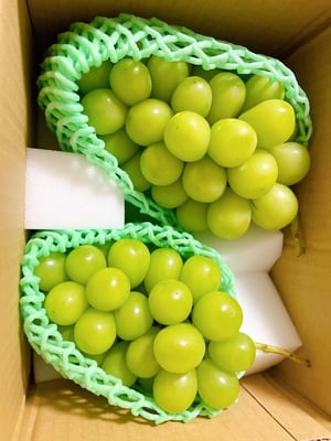 お礼の品の感想画像 1
