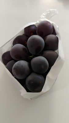 お礼の品の感想画像 1