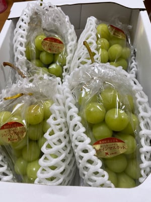 お礼の品の感想画像 1