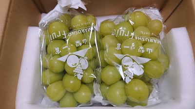 お礼の品の感想画像 1