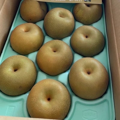 お礼の品の感想画像 1