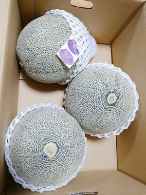 お礼の品の感想画像 1
