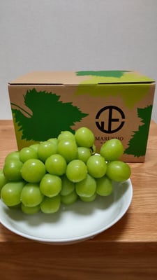 お礼の品の感想画像 1