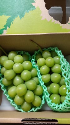 お礼の品の感想画像 2