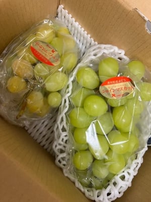 お礼の品の感想画像 1