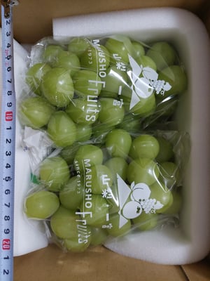 お礼の品の感想画像 1