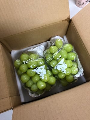 お礼の品の感想画像 1