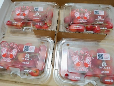 お礼の品の感想画像 1