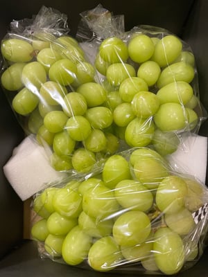 お礼の品の感想画像 1