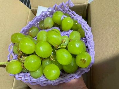 お礼の品の感想画像 1
