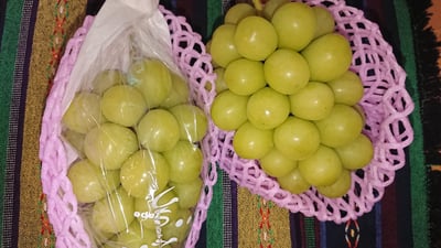 お礼の品の感想画像 1