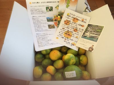 お礼の品の感想画像 1