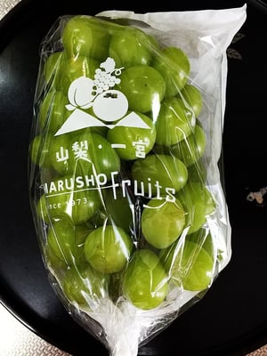 お礼の品の感想画像 1