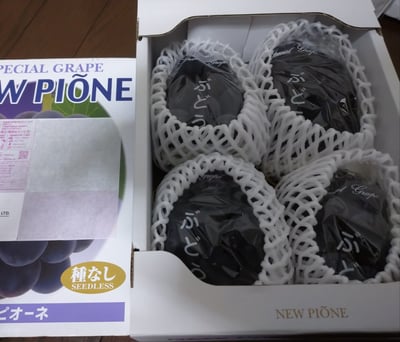 お礼の品の感想画像 1