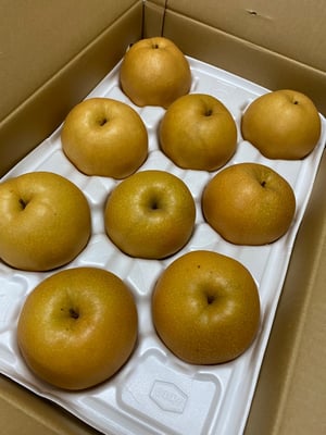 お礼の品の感想画像 3