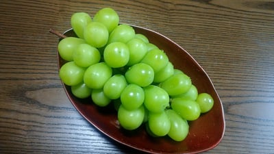 お礼の品の感想画像 1