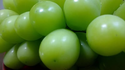 お礼の品の感想画像 2