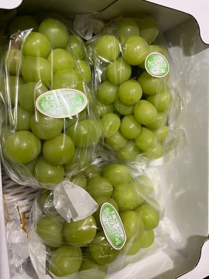 お礼の品の感想画像 1