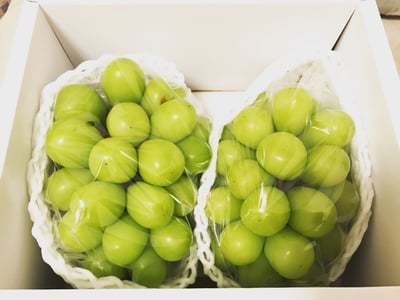 お礼の品の感想画像 1