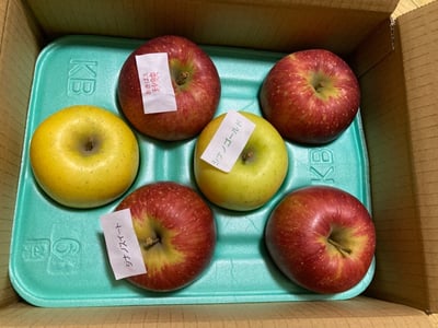 お礼の品の感想画像 1
