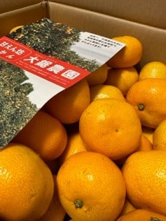 お礼の品の感想画像 1
