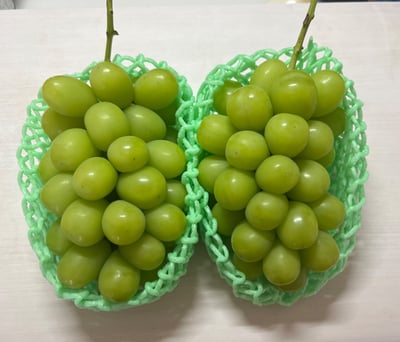 お礼の品の感想画像 1