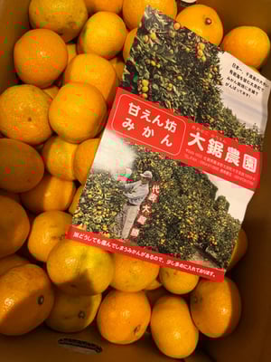 お礼の品の感想画像 1