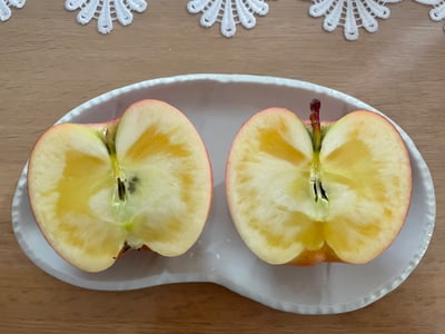 お礼の品の感想画像 1
