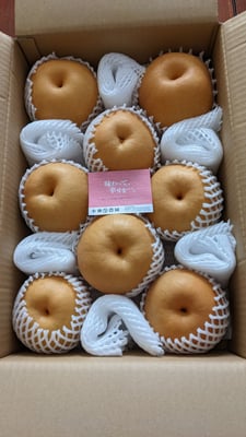 お礼の品の感想画像 1
