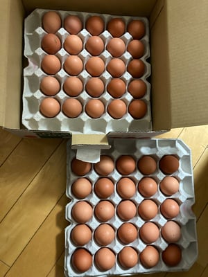 お礼の品の感想画像 1