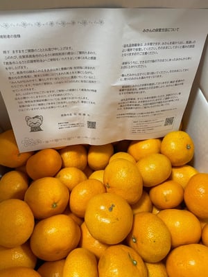 お礼の品の感想画像 1
