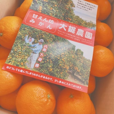 お礼の品の感想画像 1