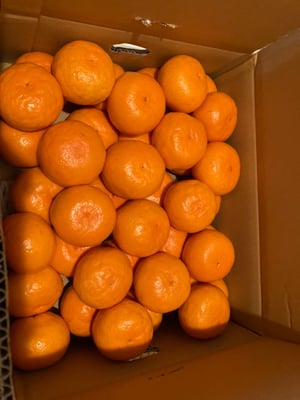 お礼の品の感想画像 1