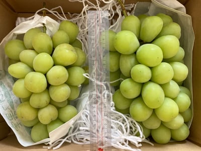 お礼の品の感想画像 1