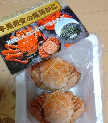 お礼の品の感想画像 1