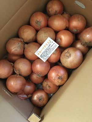 お礼の品の感想画像 1