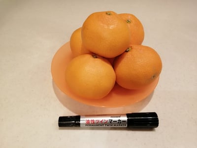 お礼の品の感想画像 1