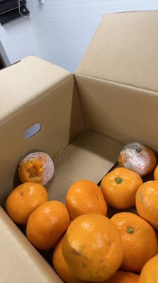 お礼の品の感想画像 1