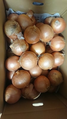 お礼の品の感想画像 1