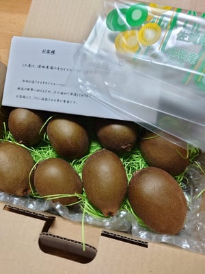 お礼の品の感想画像 1
