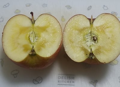 お礼の品の感想画像 2