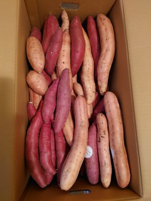 お礼の品の感想画像 1