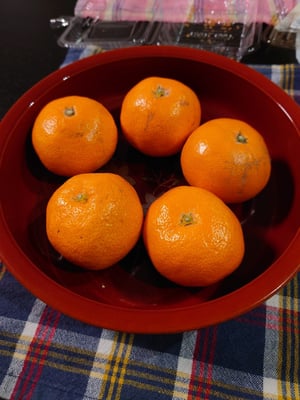 お礼の品の感想画像 1