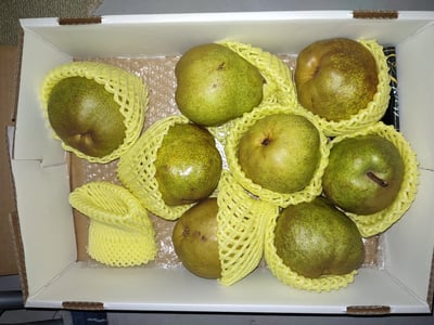 お礼の品の感想画像 1