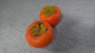 お礼の品の感想画像 1