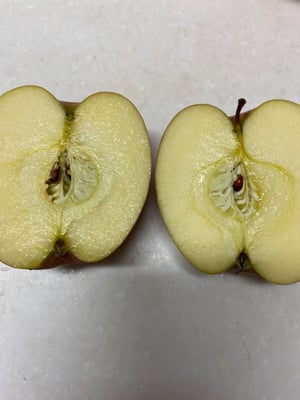 お礼の品の感想画像 1